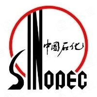 中国石化 100元|单卡密(质保时间10小时)