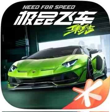 【卡密兑换】极品飞车丨游戏CDK丨无空卡丨不过期丨详情看说明
